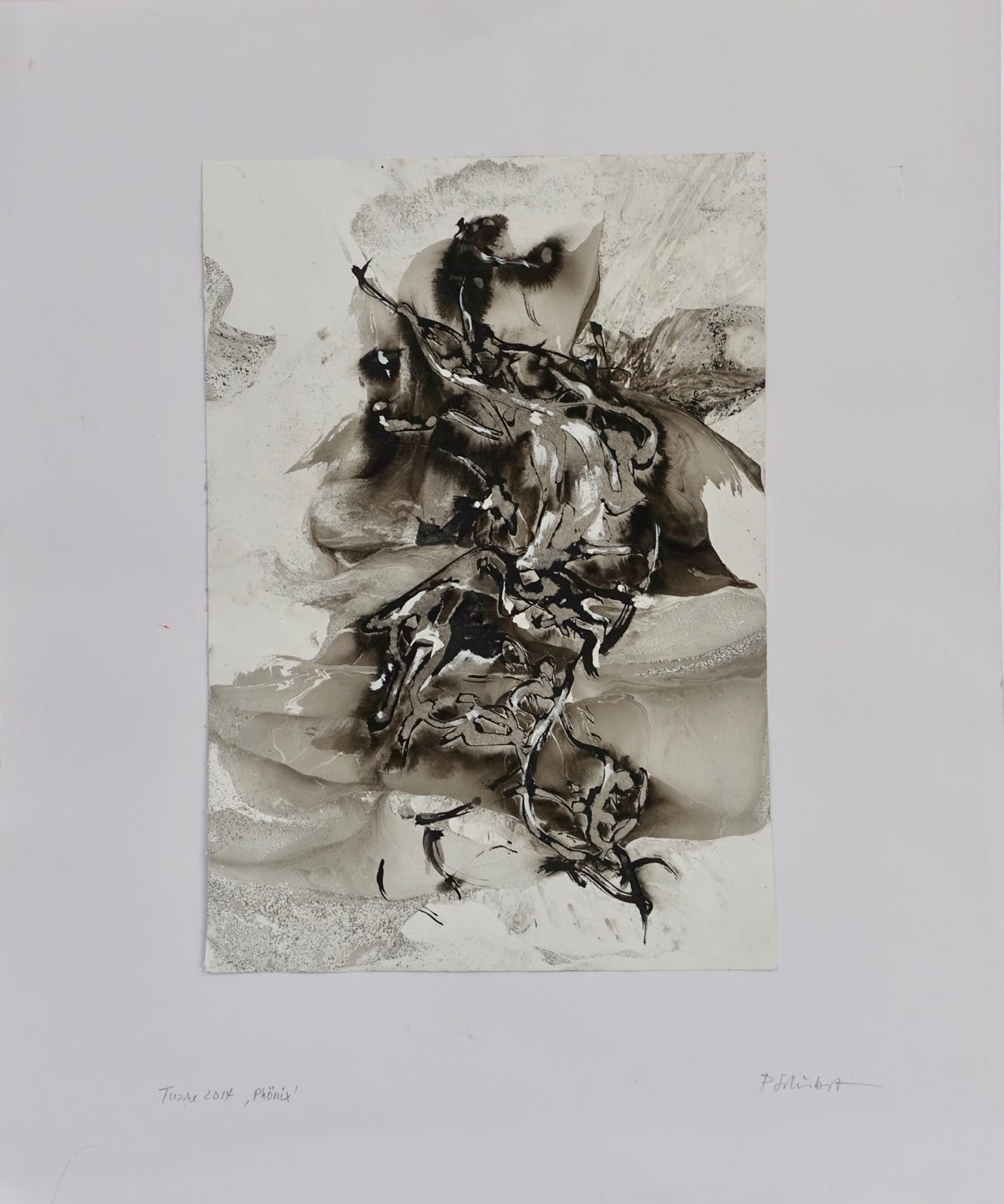 Peter Schubert Phoenix 2014