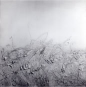 Weisse Landschaft 1963